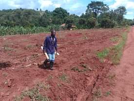 A picture of New site katende town
