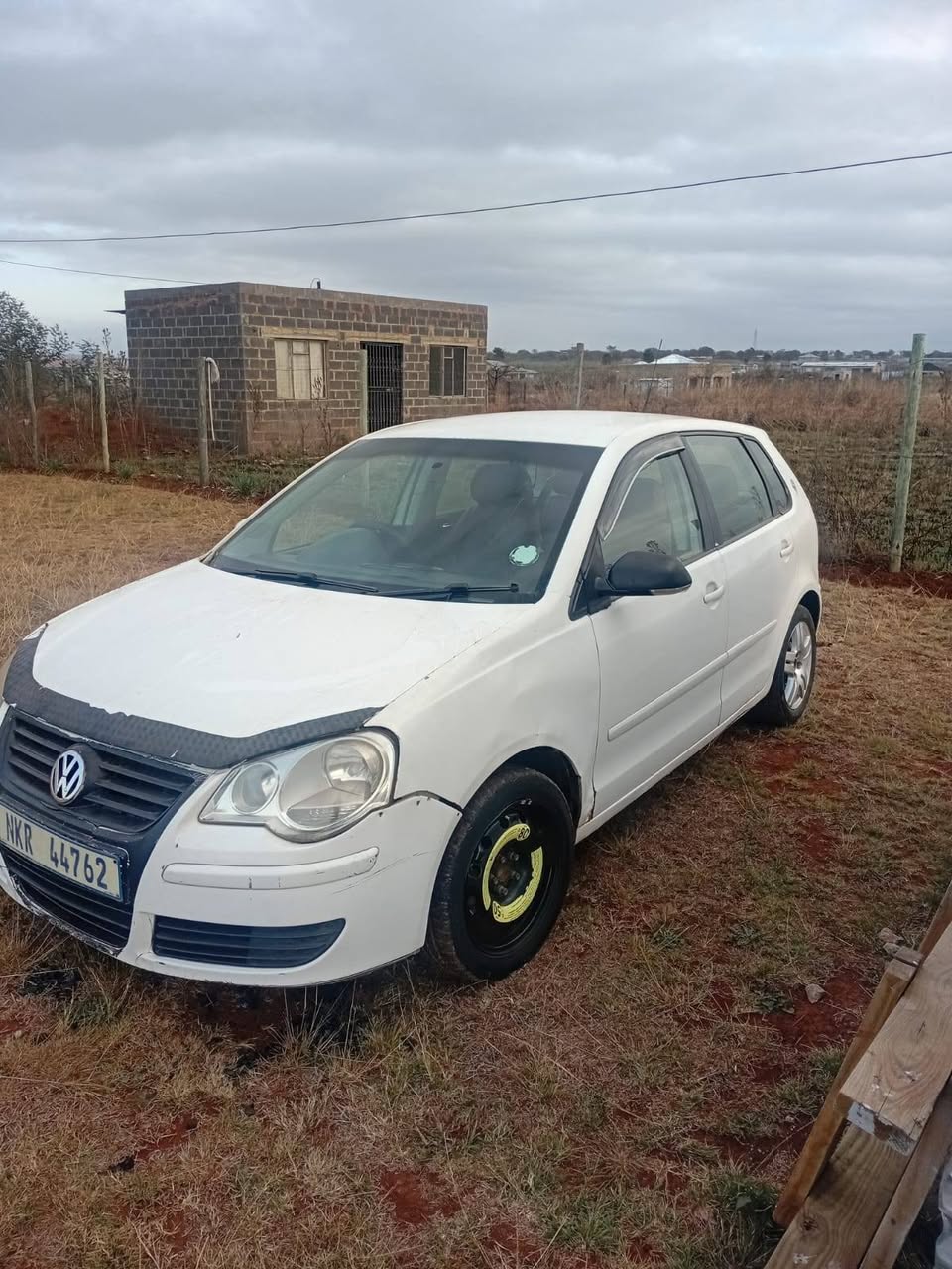polo bujwa