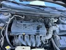 A picture of Registered 2008 Corolla
