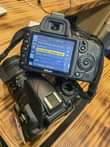 A picture of nikon D3100