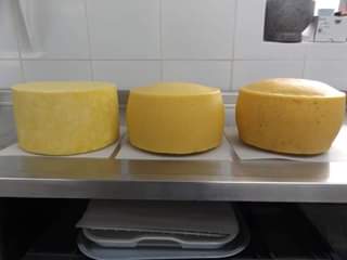 A picture of Mozzarella cheese and cheddar cheese