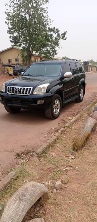 A picture of Prado 2008