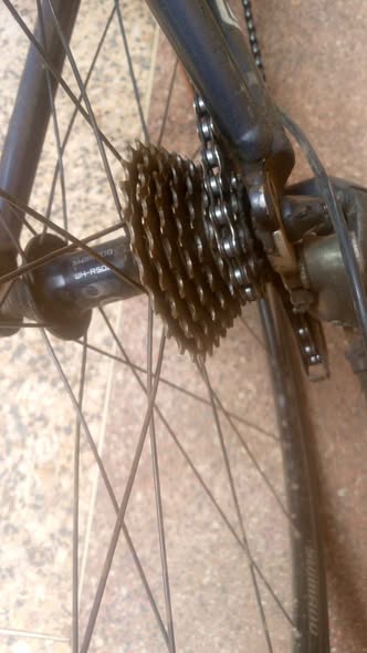 shimano