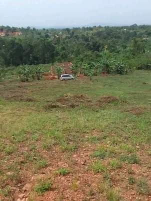 A picture of Plots for sale