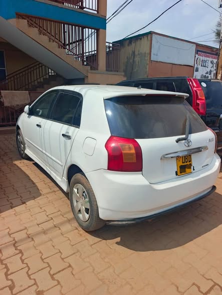 A picture of ALEX 16 5M CALL 0701488581 WHAT S APP 0776417404