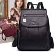 A picture of Backpacker bags