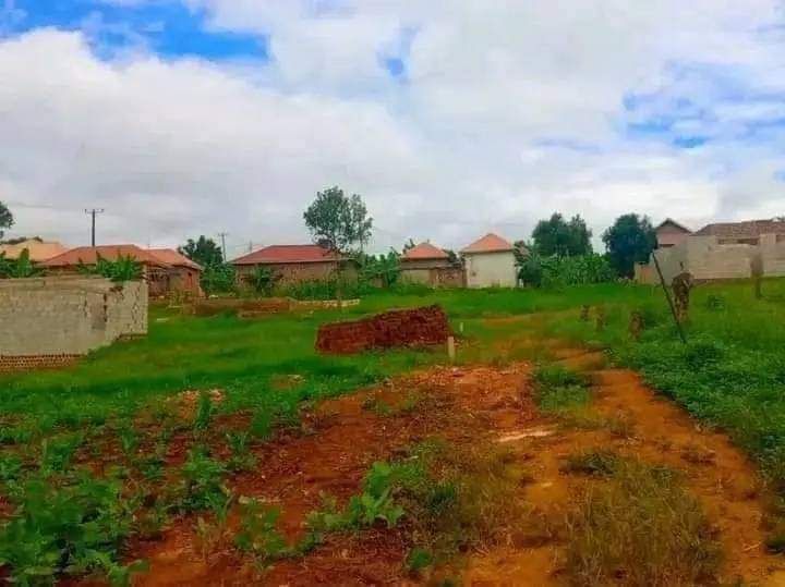 houses matugga