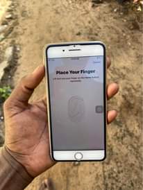 A picture of iPhone 8 Plus