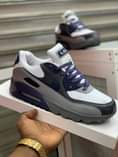 A picture of AIR MAX
