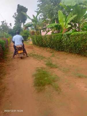 A picture of 3 acre for sale