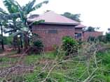 A picture of HOUSE FOR SALE IN GAYAZA BUSIKA SEATED ON ONE 1