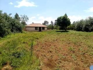 A picture of quick sale iam selling this five acres piece of land