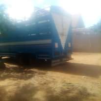 A picture of Tandam