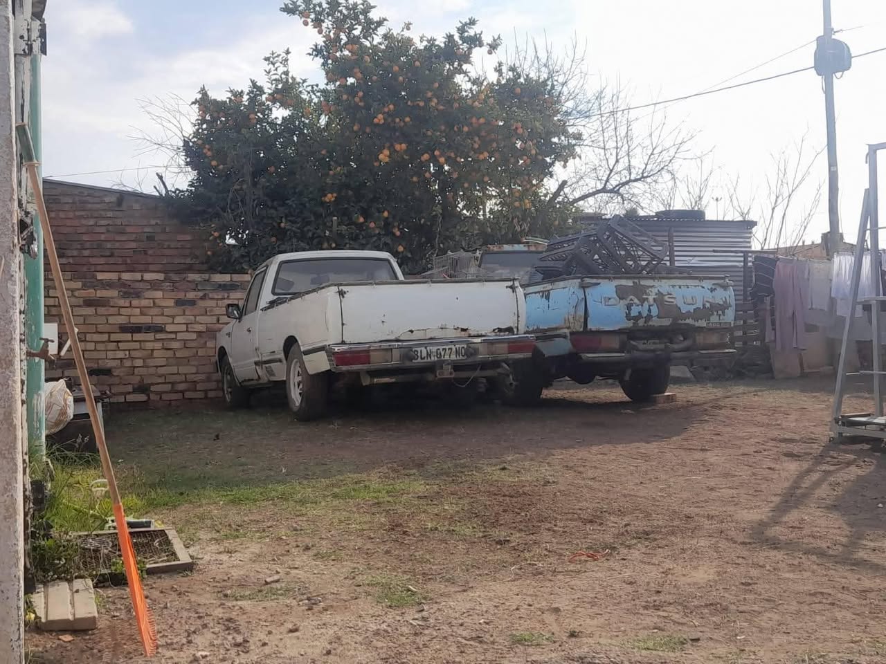 datsun