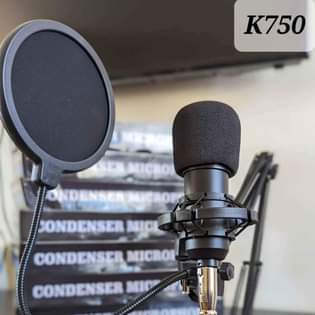 microphone