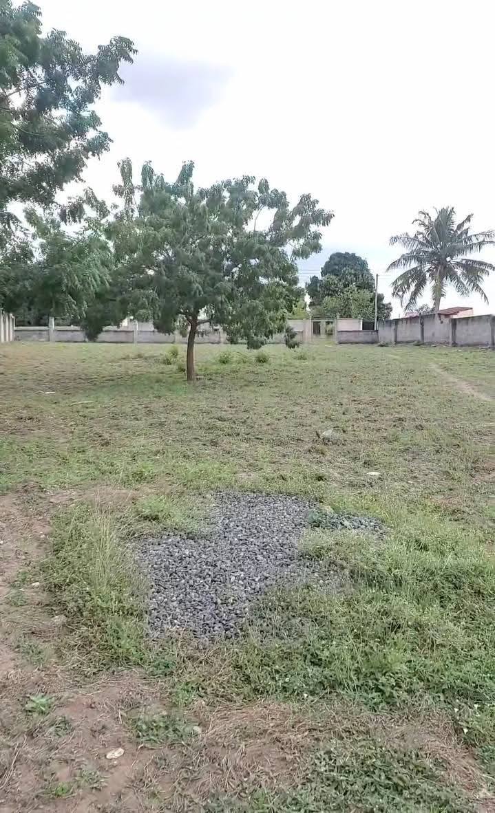 A picture of 1700 SQM Prime residential plot for sale Tsh 170 millions