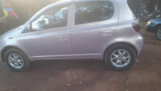 A picture of vitz