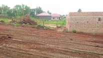 A picture of New Estate is opened at matugga ssanga town with ready