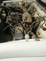 Rammotseng M.