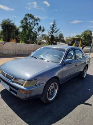 used toyota corolla