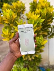 A picture of iPhone 6