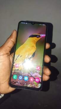 A picture of Samsung A13