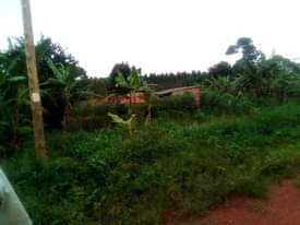A picture of 30ft X 72ft Residential Plot available on Sale at MUKONO