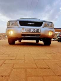 A picture of Forester