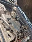 A picture of Ready for a new home AWOOF Market TOYOTA TUNDRA 4x4