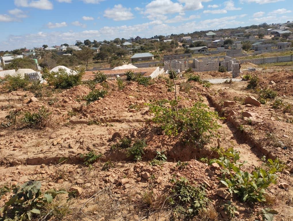 zambia plots