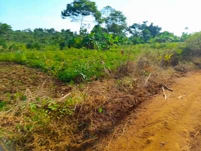 A picture of  2Arces for sale at Nsanja mukono katosi road..good for
