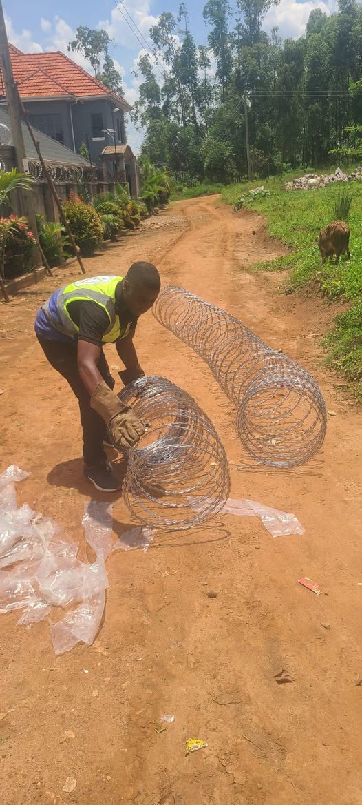 A picture of Razor Wire Fencing
