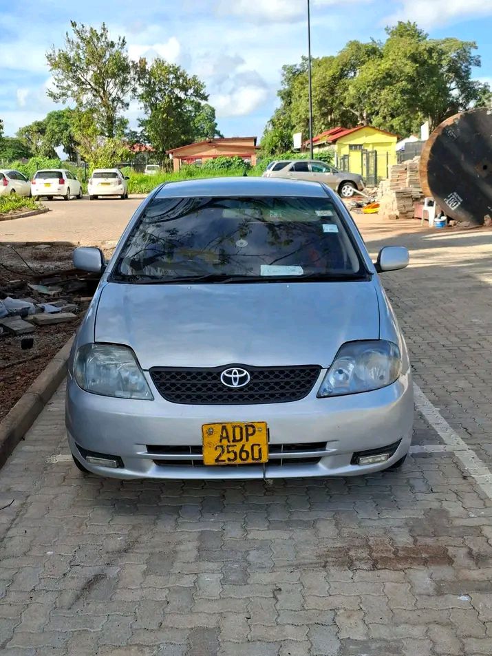 used toyota runx