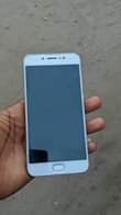 A picture of Vivo y 67