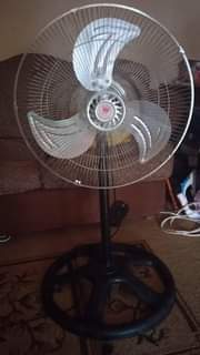 A picture of Fan