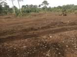 A picture of Matugga Bele estates 100by100ft 17m 100by50ft 8 5 Better accept