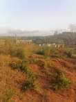 A picture of NAUZA KIWANJA