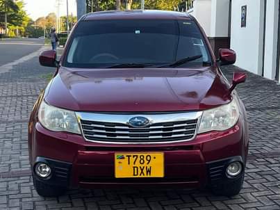 subaru forester