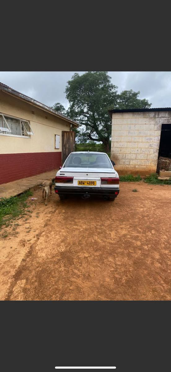 used nissan sunny