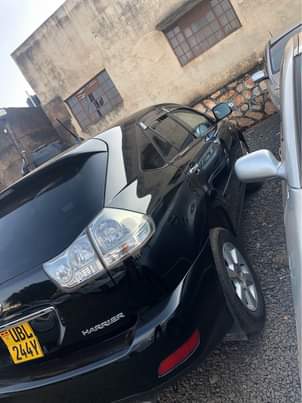 A picture of Harrier kawundo