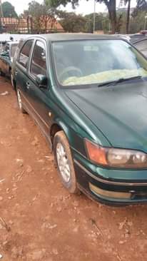 A picture of car