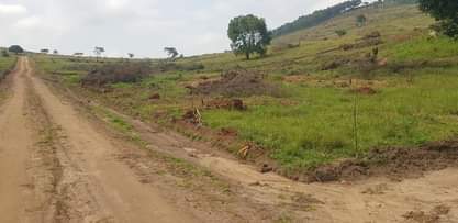 A picture of WAKISO NAMAYUMBA TOWN ESTATE 10M 12M KYAPA 