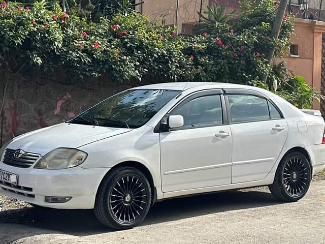 used toyota corolla