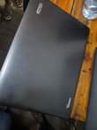 A picture of Acer