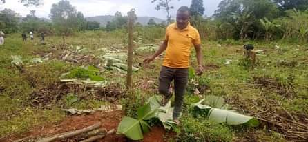 A picture of Plots available