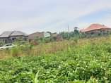 A picture of PLOT ON QUICK SALE Located matugga kiwebwa manze Size 25x50ft