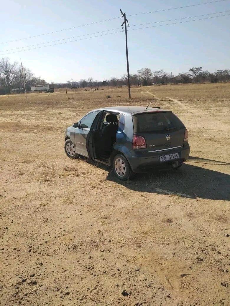 polo bujwa