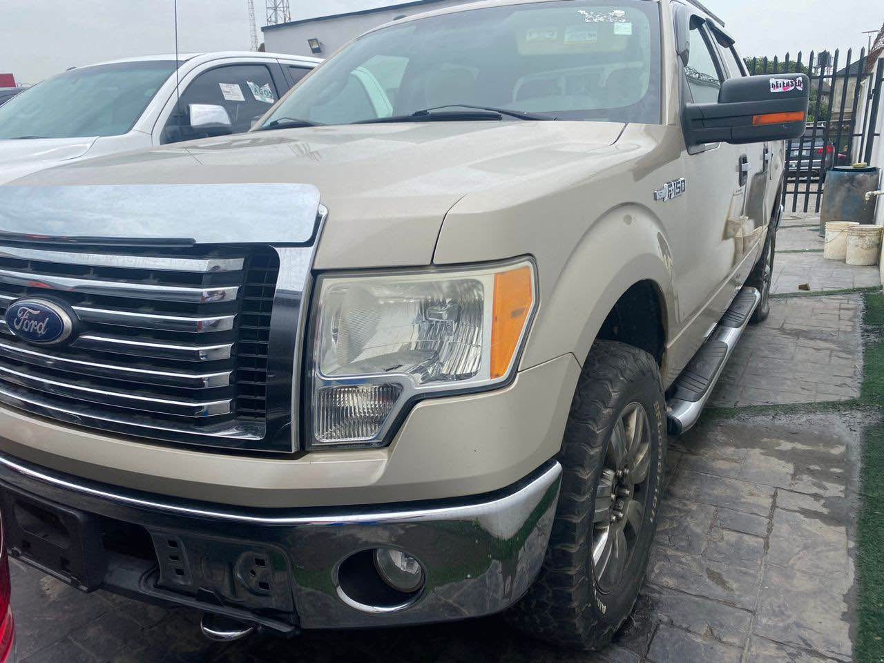 A picture of Ford F150 2010 model