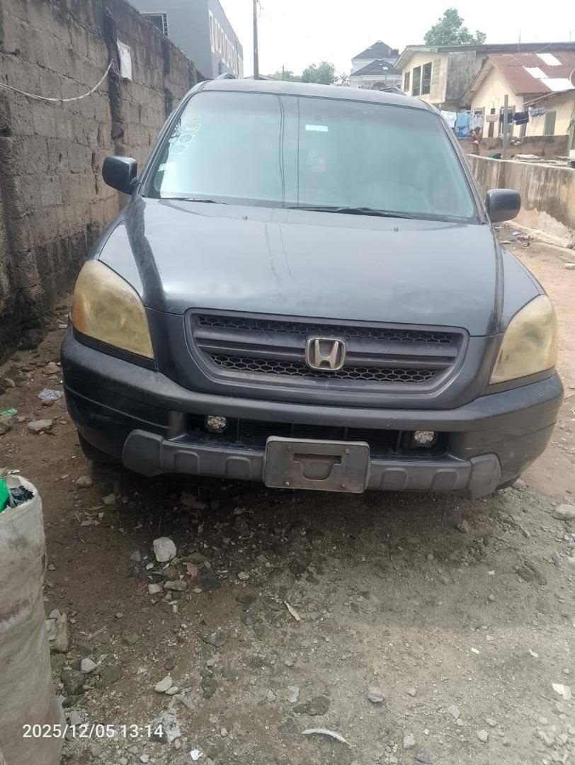A picture of Honda pilot 2004