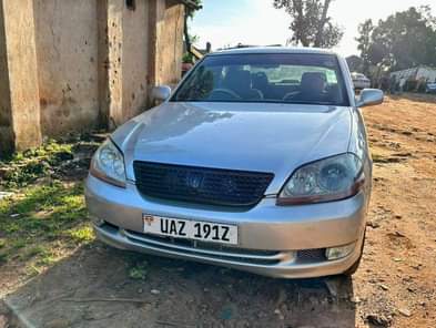 A picture of 13 5m 0743386797